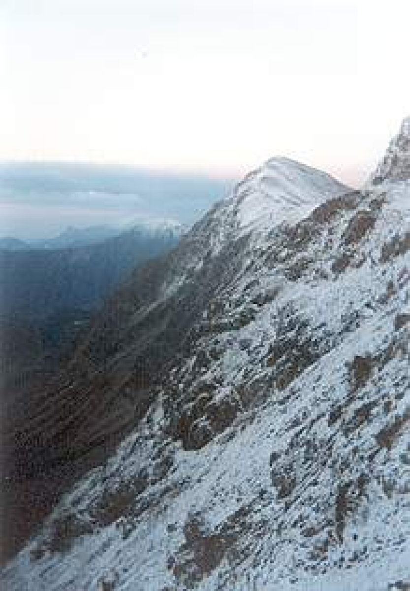 Chlupáče