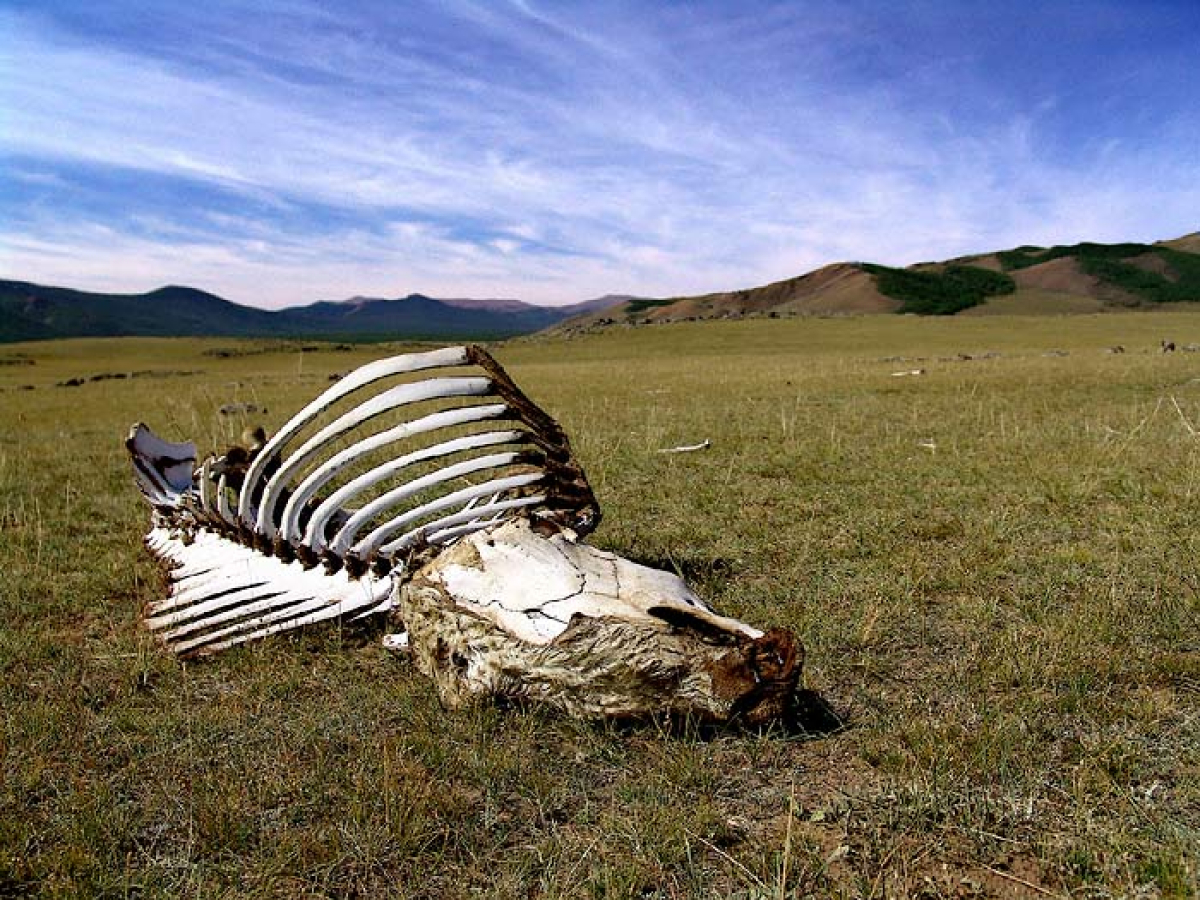 Mongolsko pohledem skrz hledáček