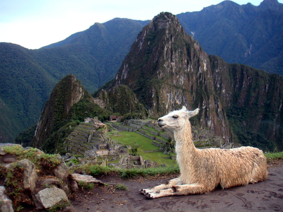 Kámen z Machu Picchu