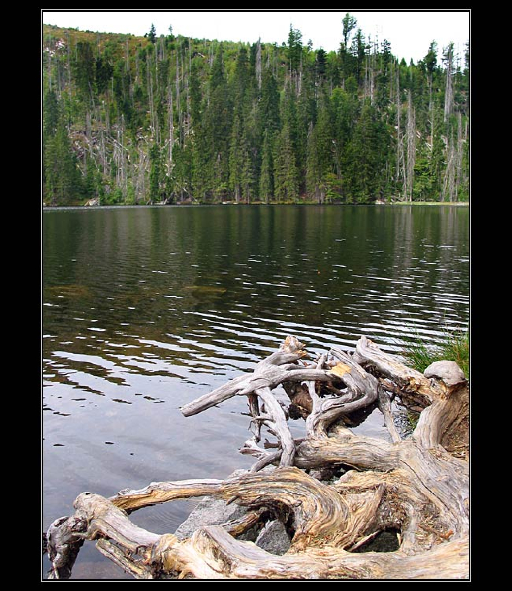 Prášilské jezero a rozhledna na Poledníku