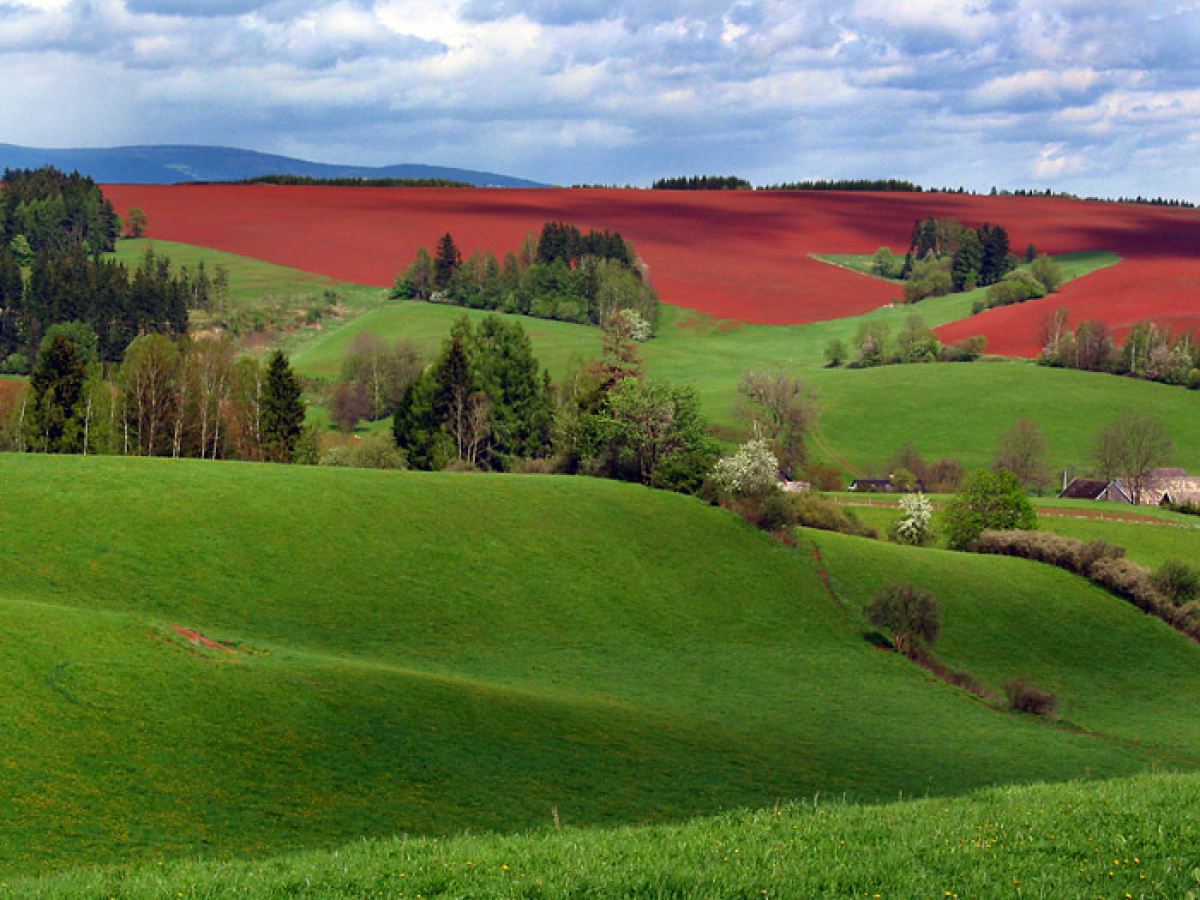 Dovolená na venkově je levná a ekologická