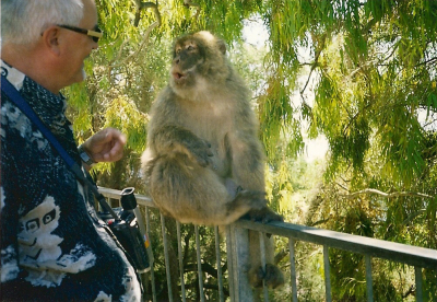 Gibraltar: Opičí skála