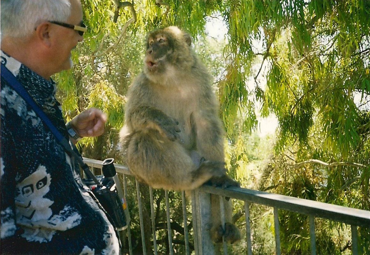 Gibraltar: Opičí skála