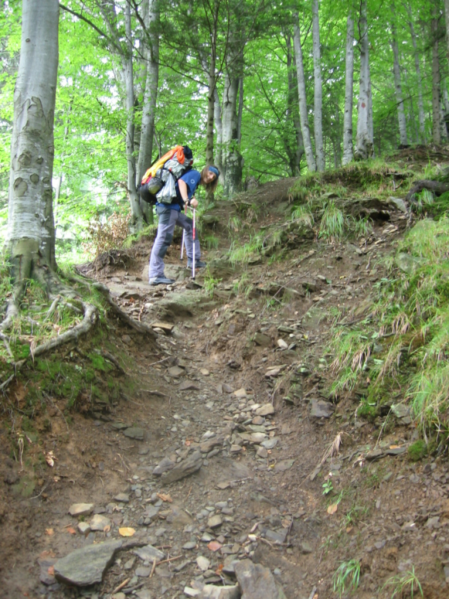 Fagaraš – jen pro zasvěcené?