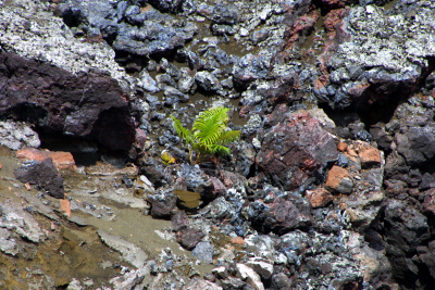 Hawaii - Big Island