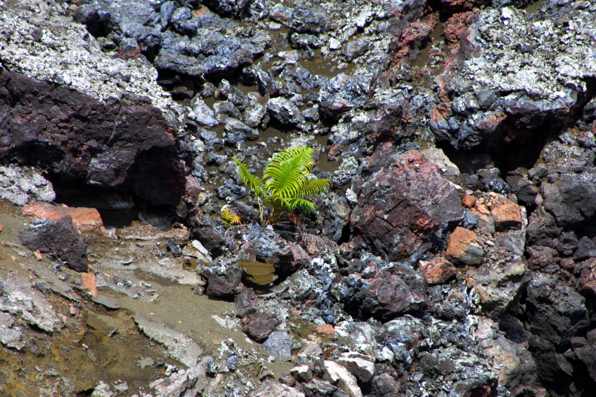 Hawaii - Big Island