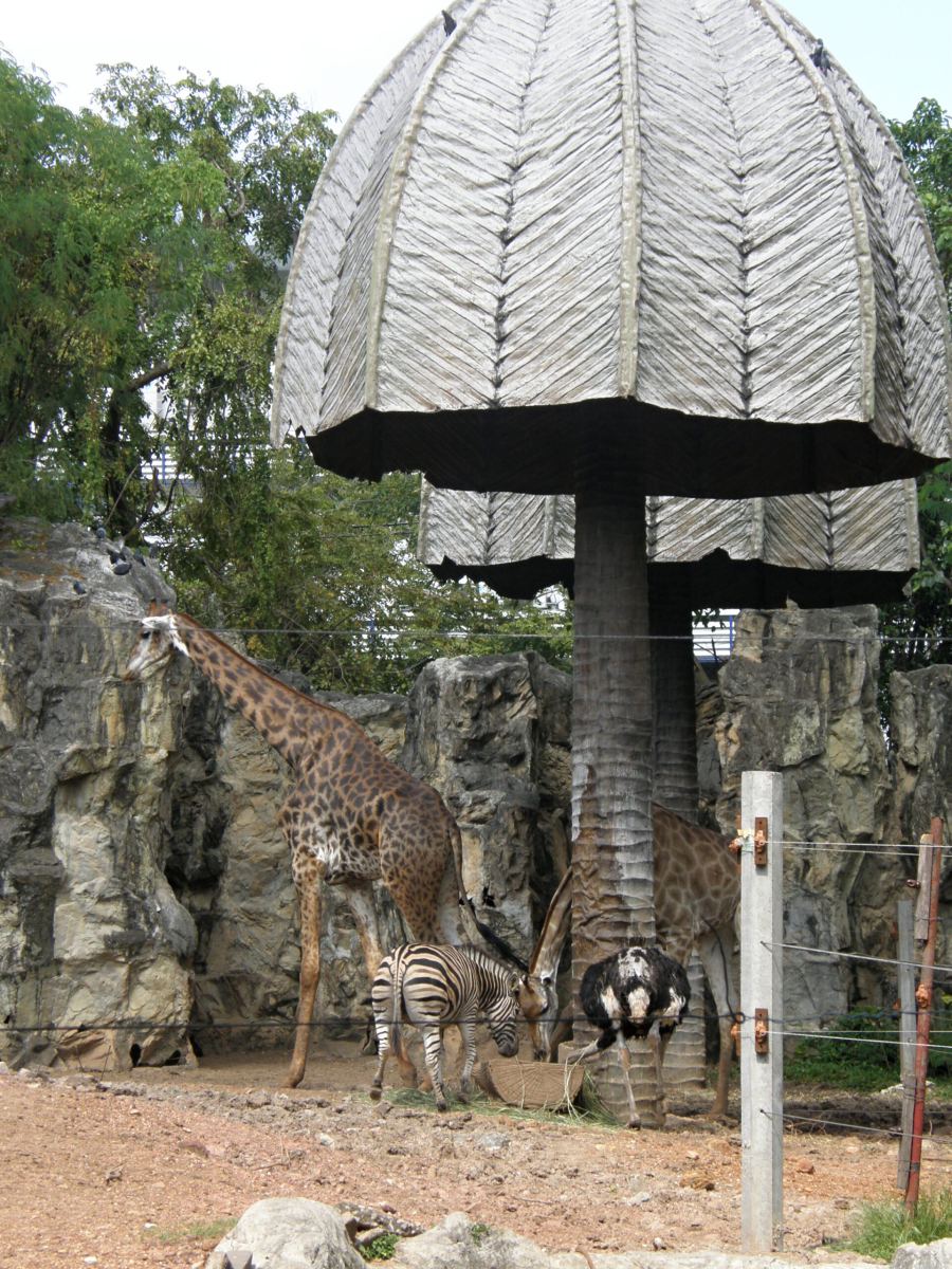 ZOO Dusit v Bangkoku