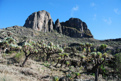 Trek okolo Mt. Elgon, vyhaslé sopky na hranicích Keni a Ugandy