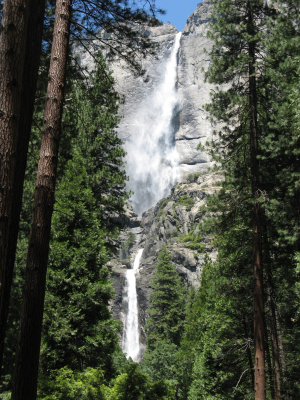Do národního parku Yosemite mezi obry