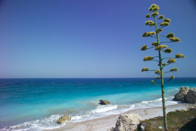 Rhodos – ostrov slunce