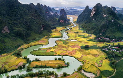 Rýžové terasy v údolí Muong Hoa ve Vietnamu