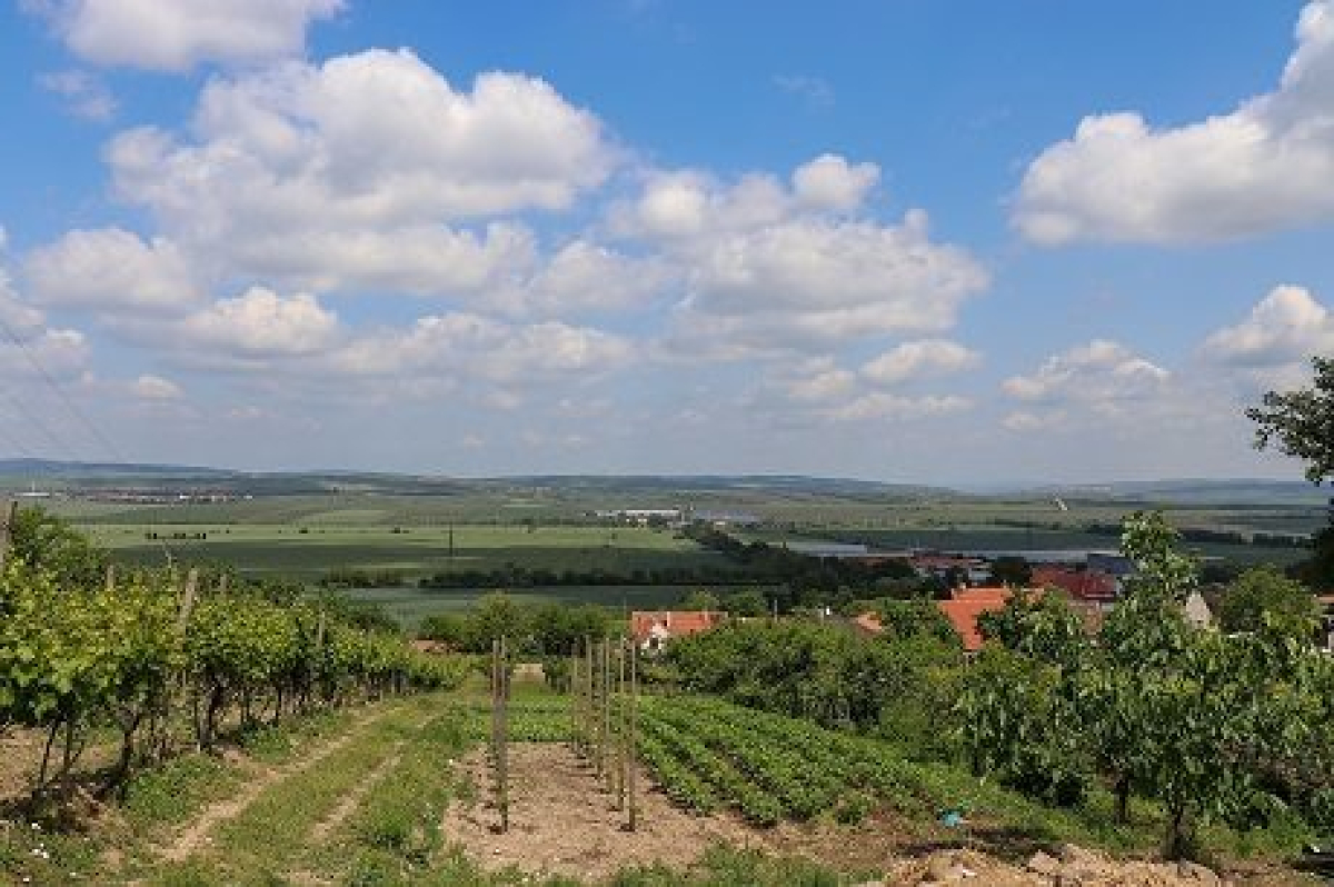 Dovolená na jižní Moravě – které sklípky navštívit?