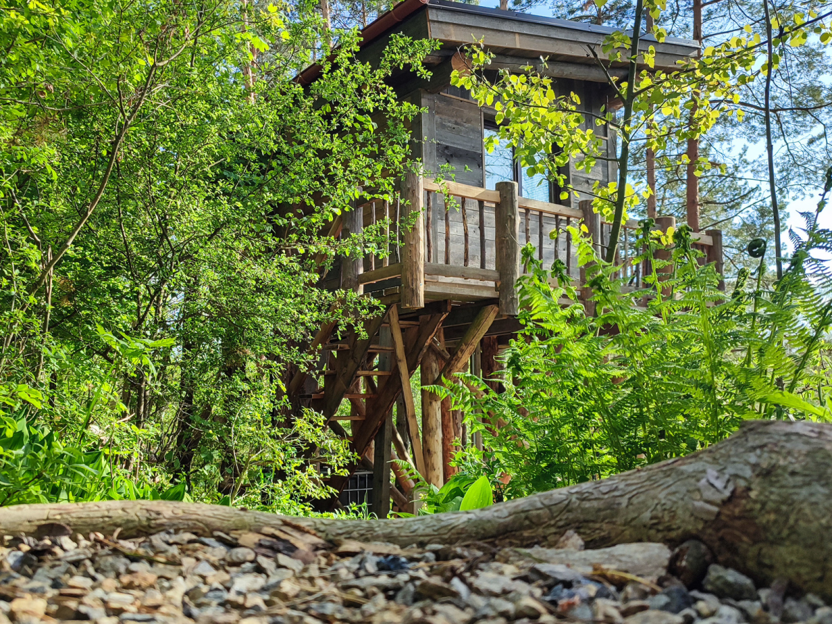 Treehouse na Vysočině – netradiční pobyt v korunách stromů