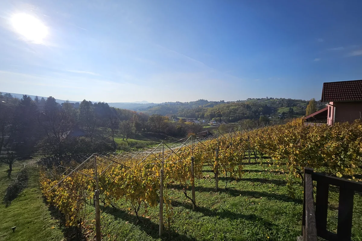 Nová vinařská mapa světa ukazuje: české vinice jsou o 2,1 °C chladnější než vinice v Bordeaux