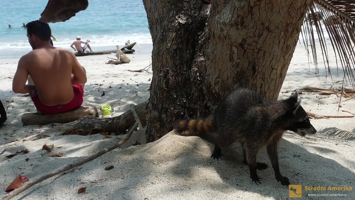 Kostarika: Národní park Manuel Antonio