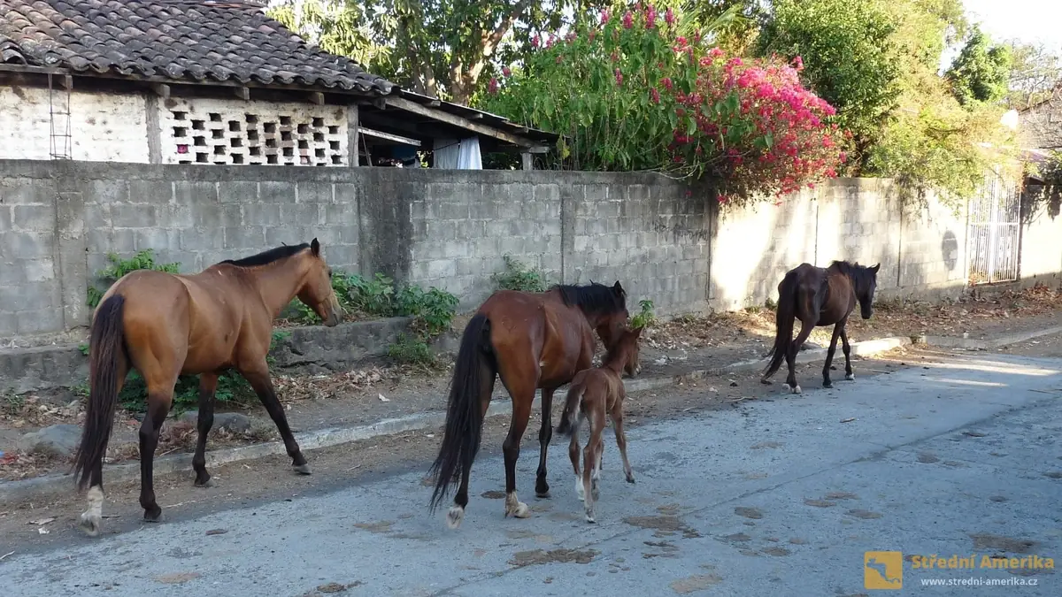 Ometepe: Ostrov, kde se nikdo ani chvilku nenudí
