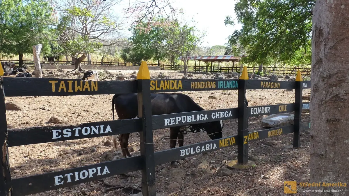 Ometepe: Služeb "finca" využili i klienti z Rebublica Checa