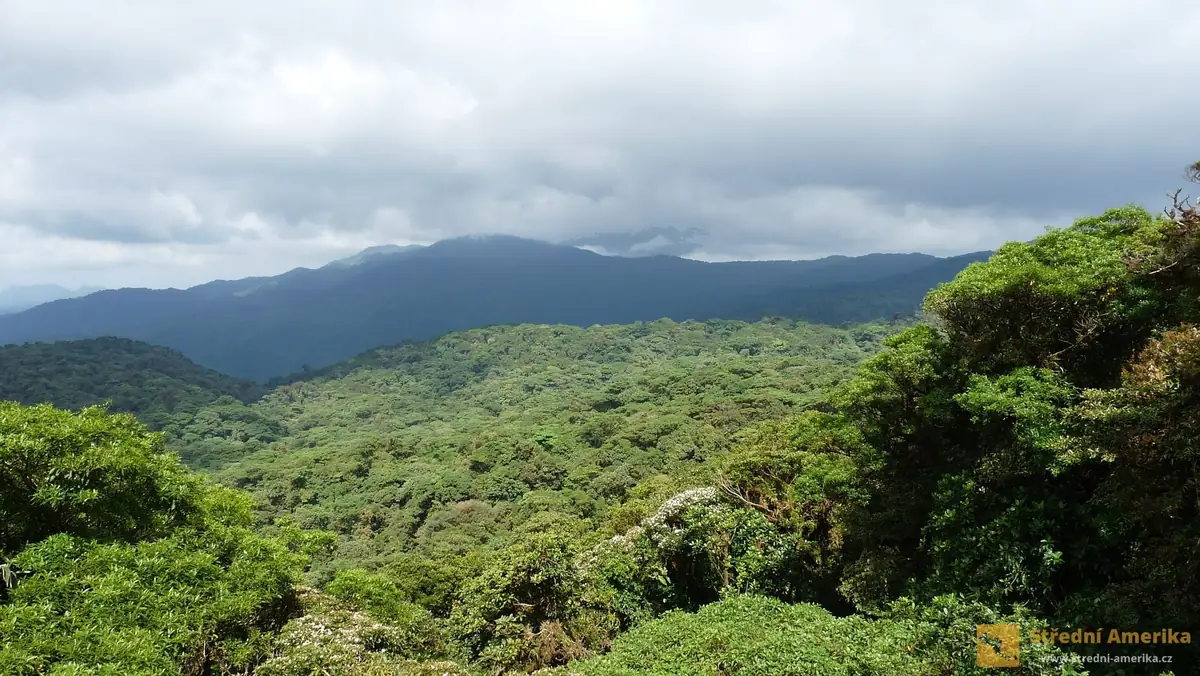 Kostarika: Přírodní parky Santa Elena a Monteverde