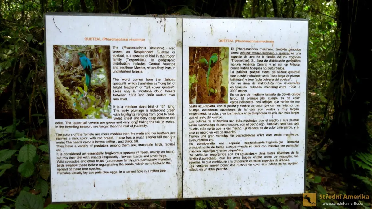 Kostarika: Přírodní parky Santa Elena a Monteverde