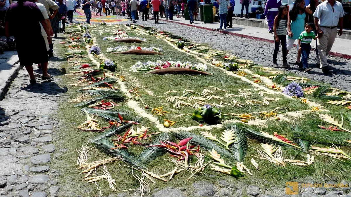 Antigua Guatemala, velikonoční amflobra, koberec z květin.