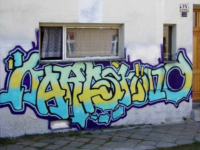 dsc06389.jpg
