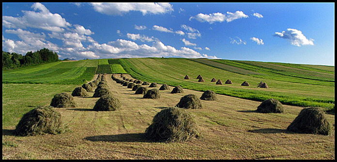 fotosoutez0701-07.jpg