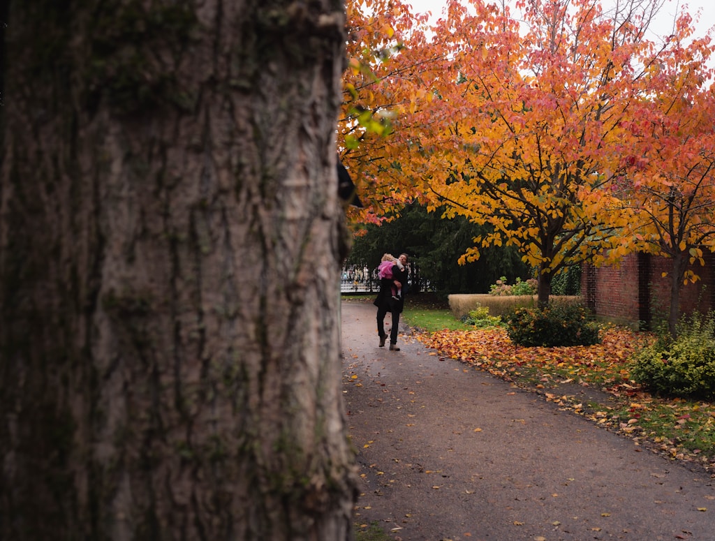 Podzim v Krkonoších – dobrodružství, které si zamilují celé rodiny